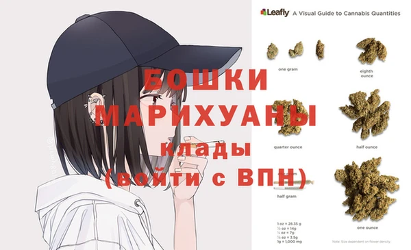 индика Липки