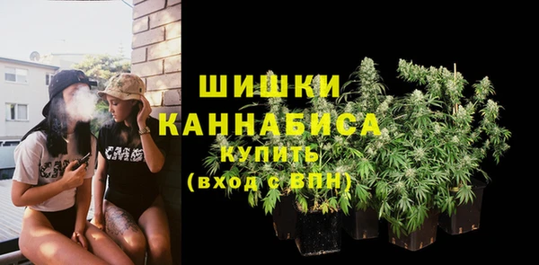 индика Липки