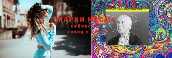 индика Липки