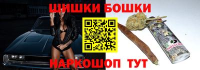 СК Бийск