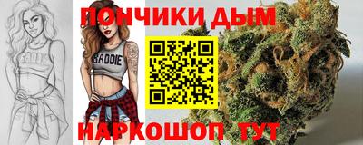 СК Бийск