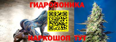 СК Бийск