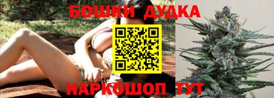 индика Волжский