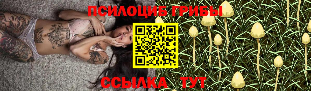 Всеволожск  Галлюциногенные грибы мухоморы  Галлюциногенные грибы ЛСД  Вход с VPN 