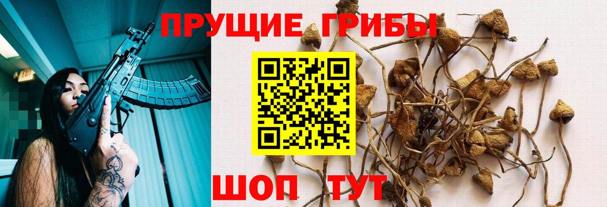 Галлюциногенные грибы мухоморы Всеволожск