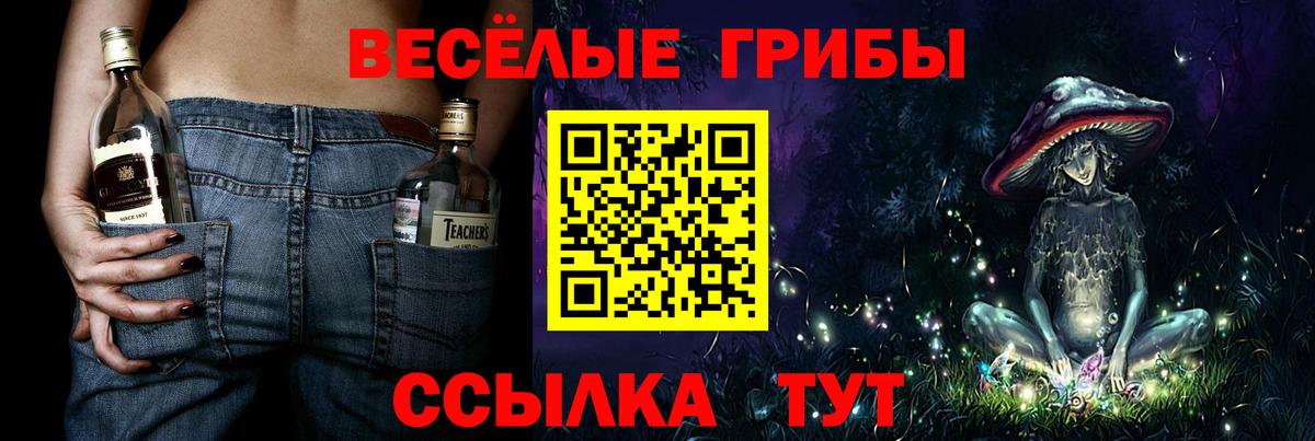 Галлюциногенные грибы Cubensis  Всеволожск  Псилоцибиновые грибы прущие грибы 